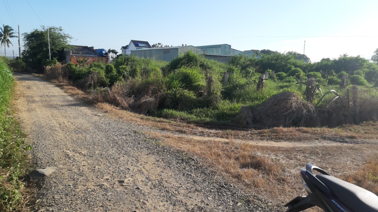 Cần bán 2800m2 đất, km 17,hàm cường
