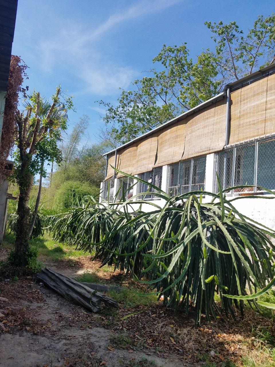 Bán lô đất 32m mặt đường QL1A, giá rẻ, Km39 -Bình Thuận.