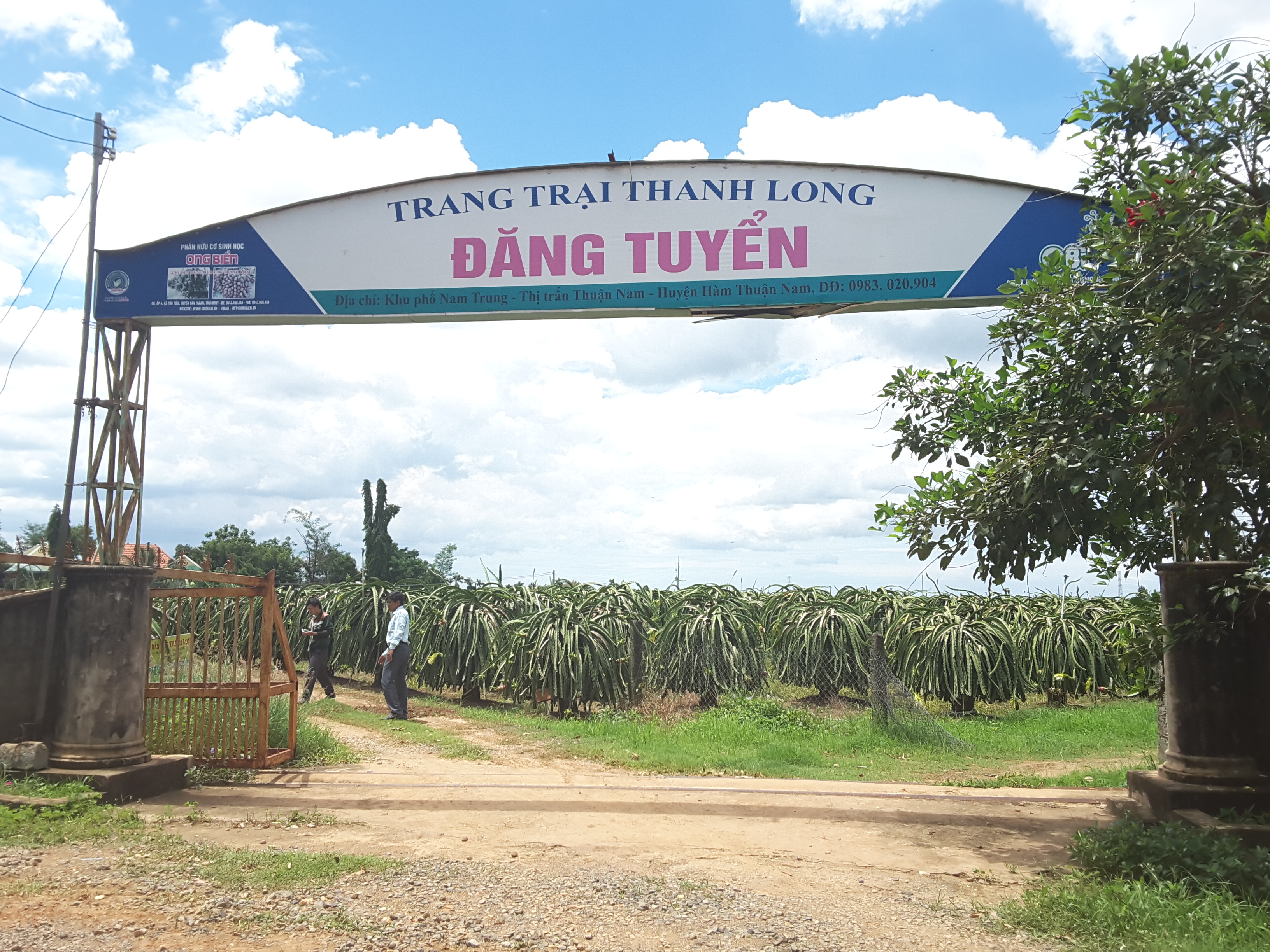 THANH LONG BÌNH THUẬN ĐƯỢC BẢO HỘ TRÊN ĐẤT MỸ