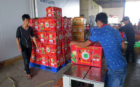 TĂNG CƯỜNG XUẤT KHẨU THANH LONG SANG THÁI LAN