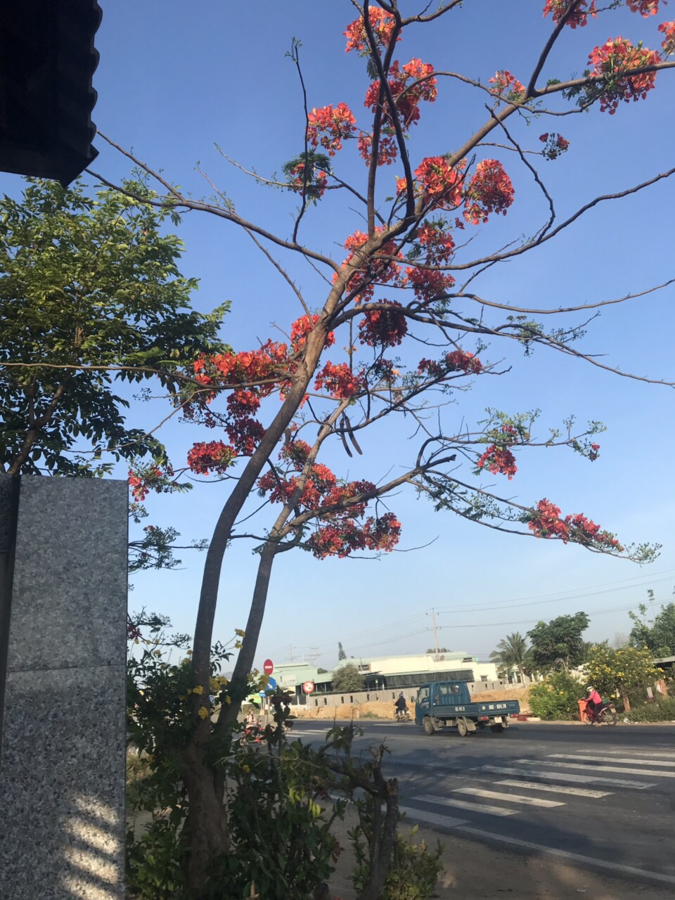 Bán 560 m2 đất mặt tiền QL1A tại Km23, Hàm Minh