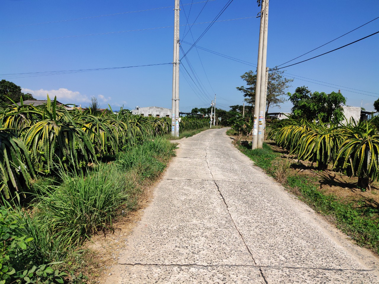 Bán lô đất 2 mặt đường, km17 Hàm Cường, Hàm Thuận Nam.